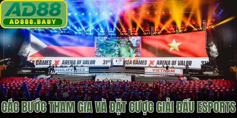 Các bước tham gia theo dõi và đặt cược giải đấu esports AD88