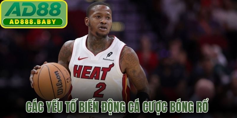 Các yếu tố biến động cá cược bóng rổ tại AD88