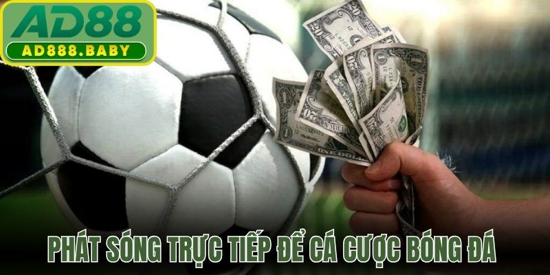 Phát sóng trực tiếp sắc nét để cá cược bóng đá dễ dàng