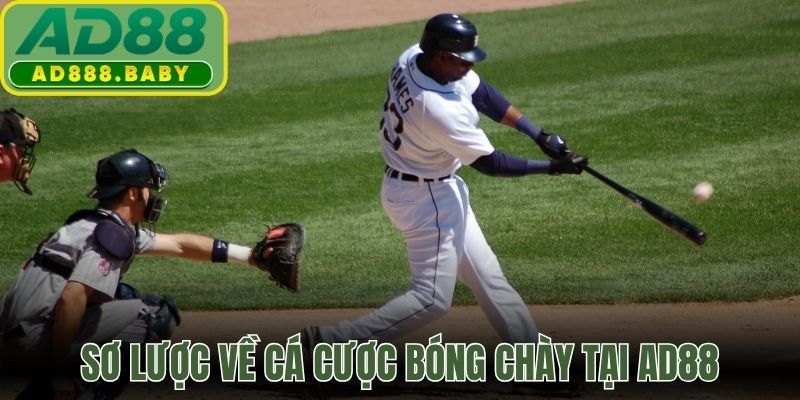 Sơ lược về cá cược bóng chày tại AD88