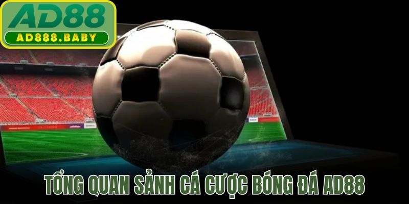 Tổng quan sảnh cá cược bóng đá AD88