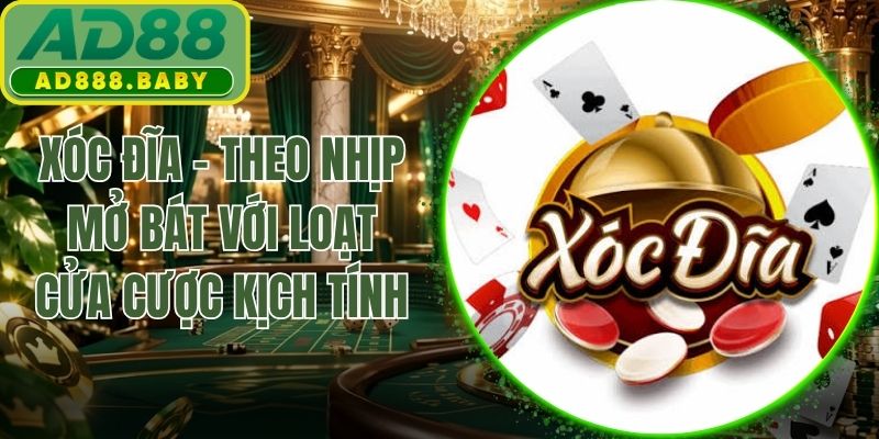 Xóc Đĩa - Theo Nhịp Mở Bát Với Loạt Cửa Cược Kịch Tính